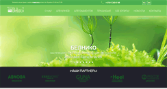 Desktop Screenshot of belnico.by